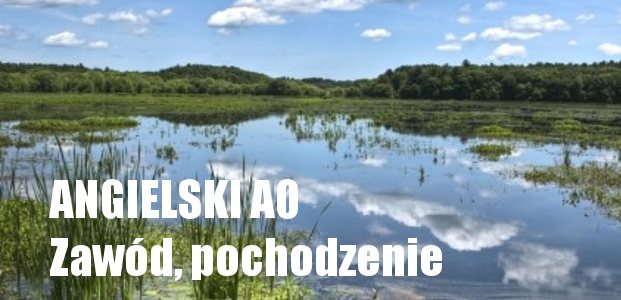 Lekcja 3, poziom A0 ? Zawód i pochodzenie