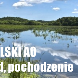 Lekcja 3, poziom A0 ? Zawód i pochodzenie